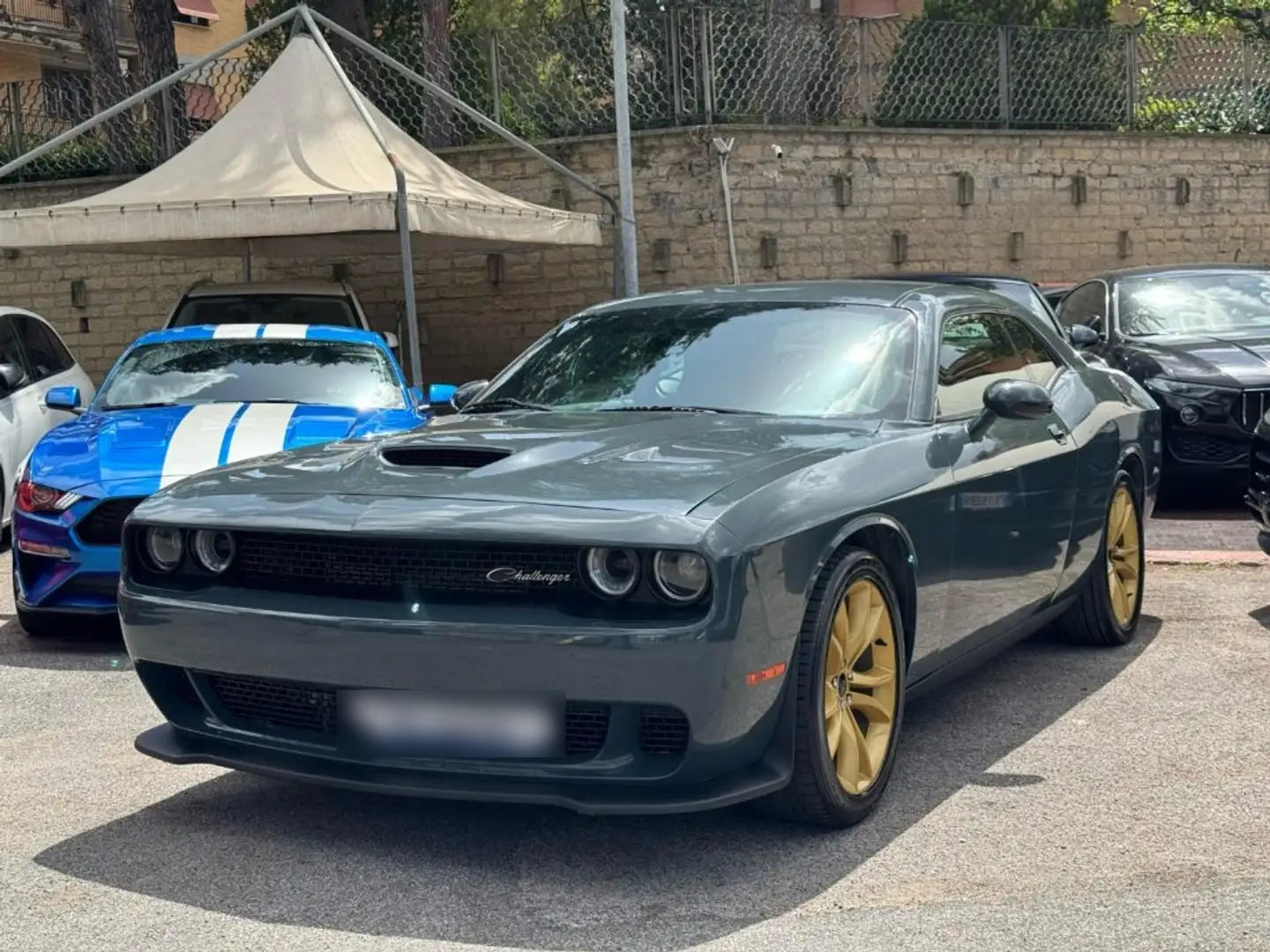 DODGE - CHALLENGER (2021 - km 34.000 - Benzina)