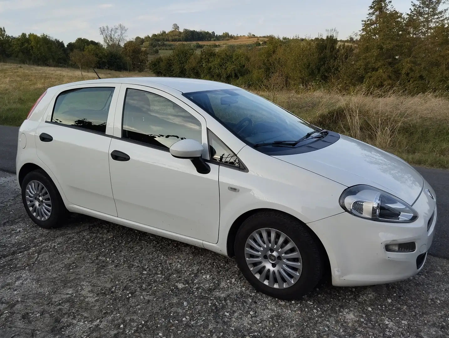 FIAT - PUNTO (2017 - km 148.000 - Diesel)