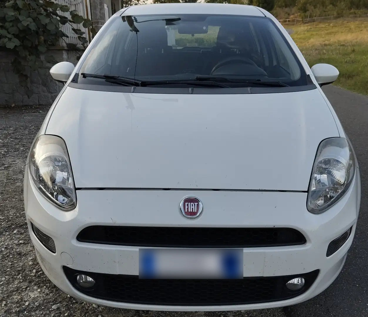 FIAT - PUNTO (2017 - km 148.000 - Diesel)