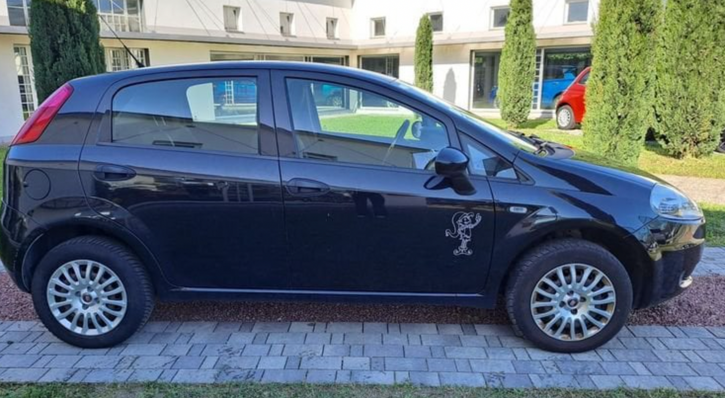 FIAT - PUNTO (2013 - km 118.973 - Metano)