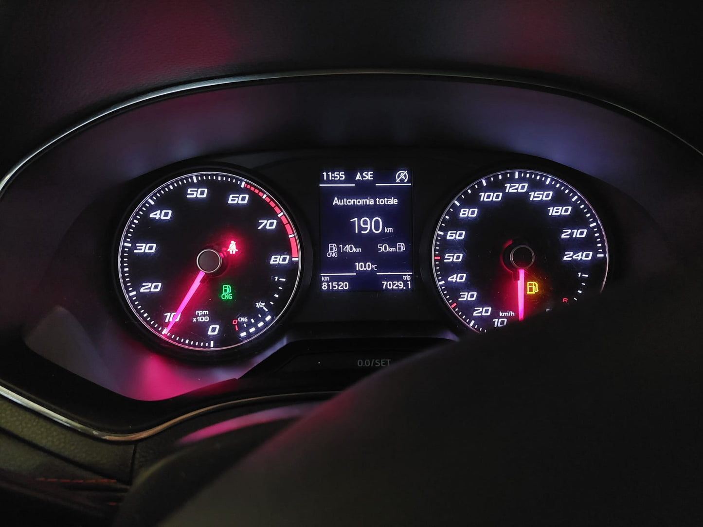 SEAT - IBIZA (2019 - km 81.000 - Benzina)
