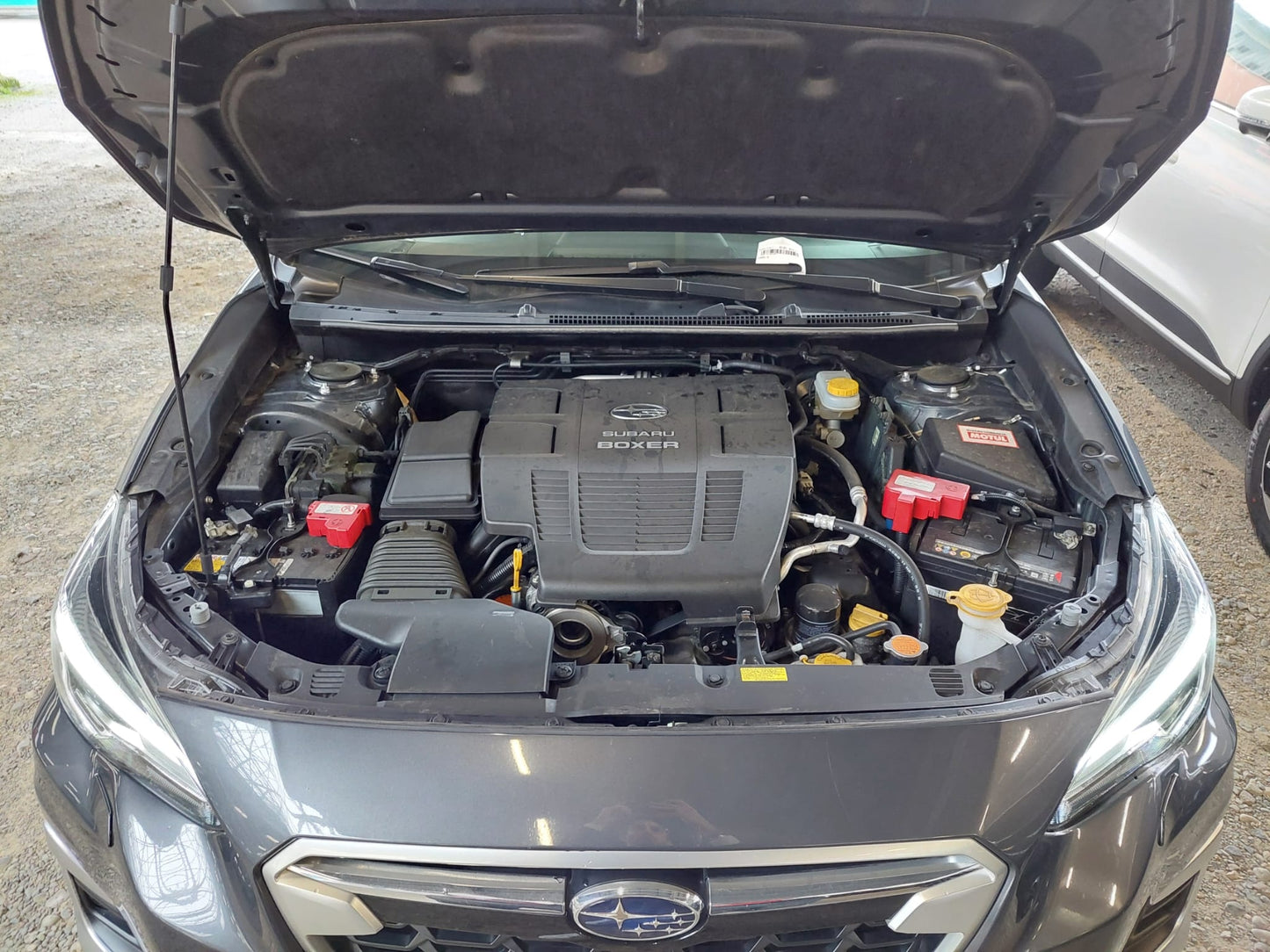 SUBARU - XV (2020 - km 58.716 - Ibrida)