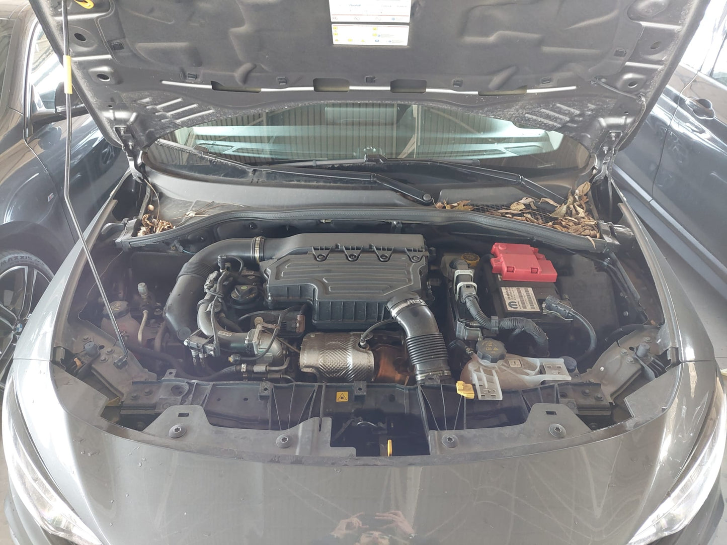 FIAT - TIPO (2022 - km 37.315 - Ibrida)