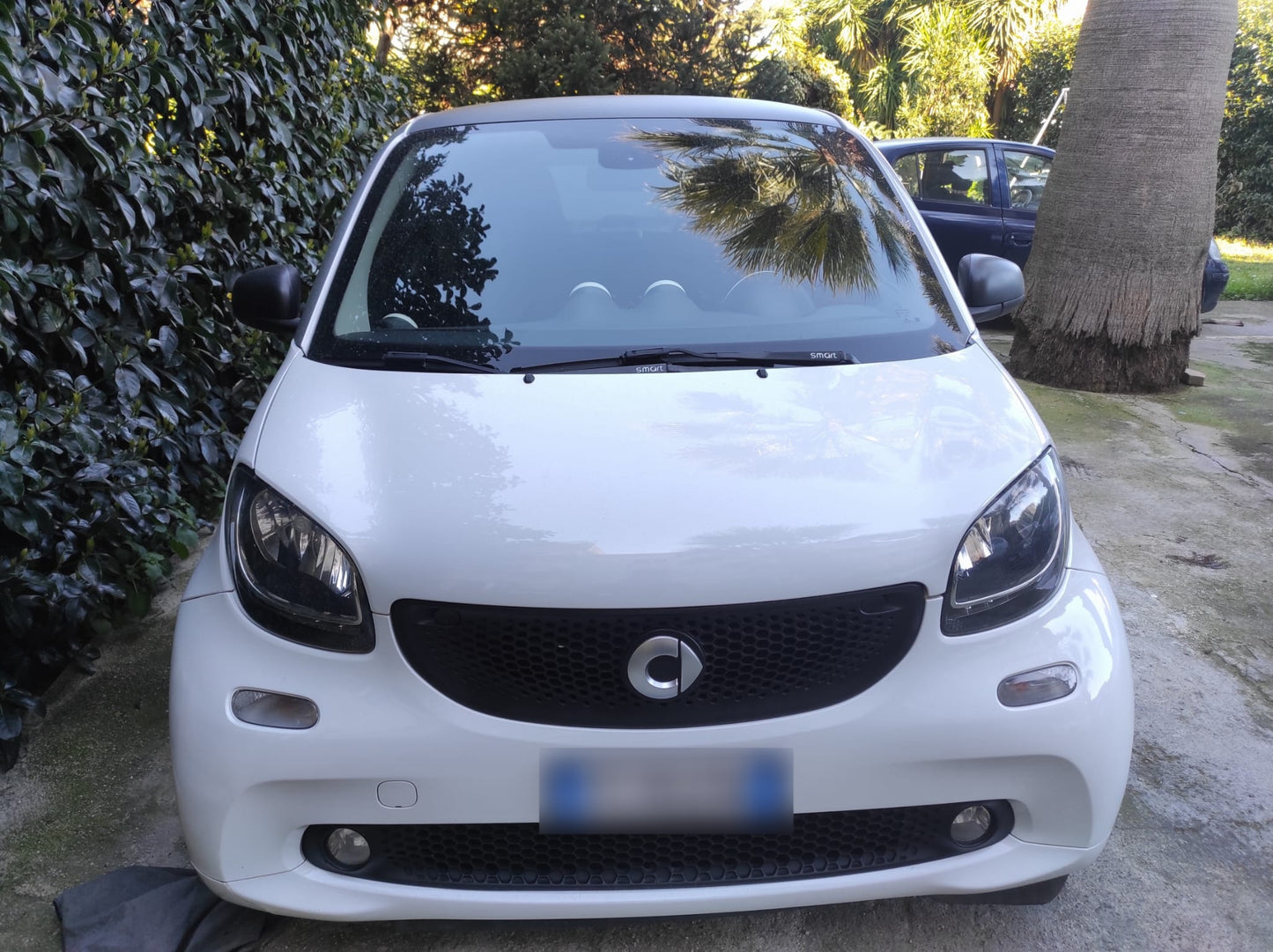 SMART - FORTWO (2016 - km 130.000 - Benzina)