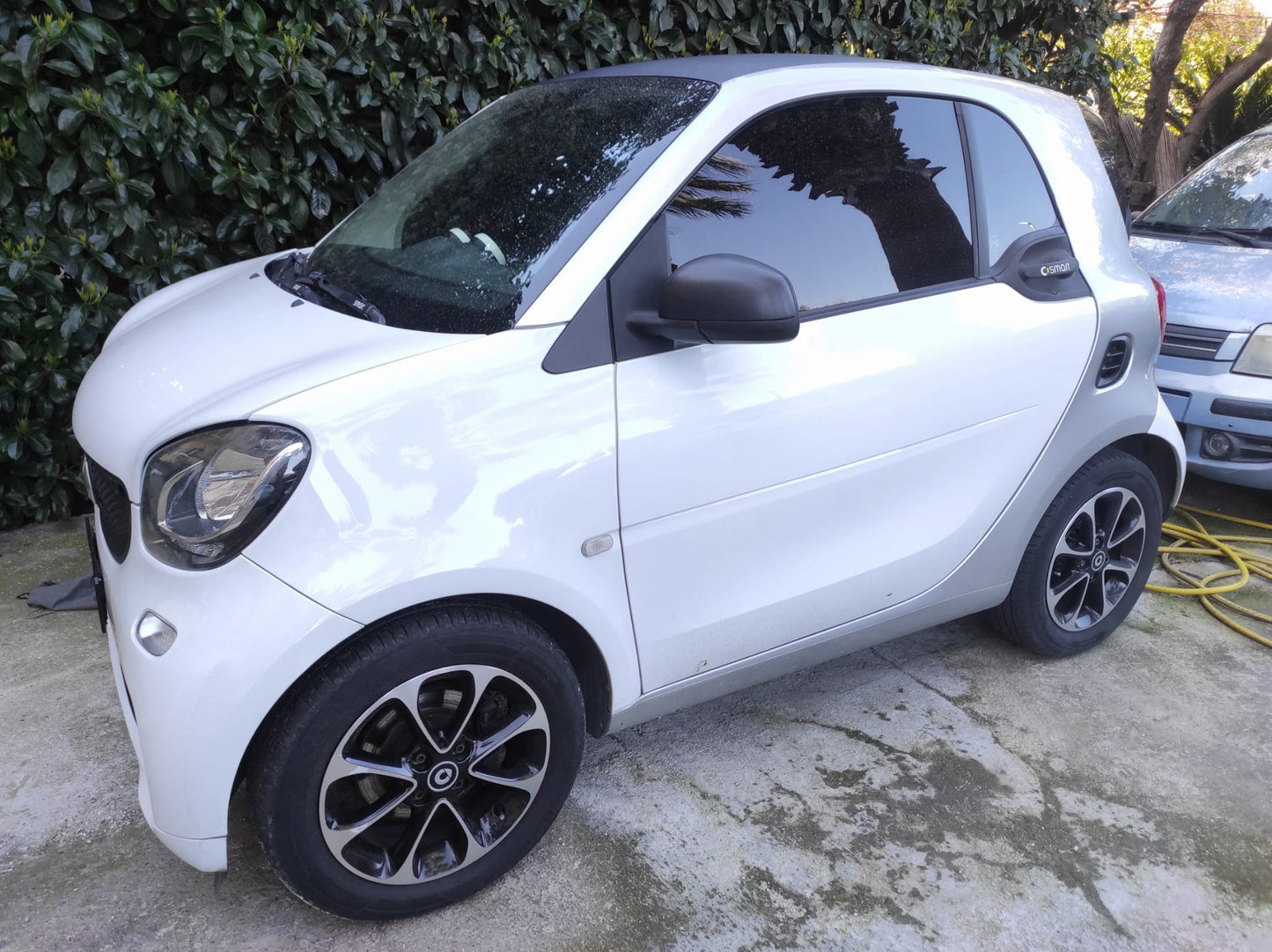 SMART - FORTWO (2016 - km 130.000 - Benzina)