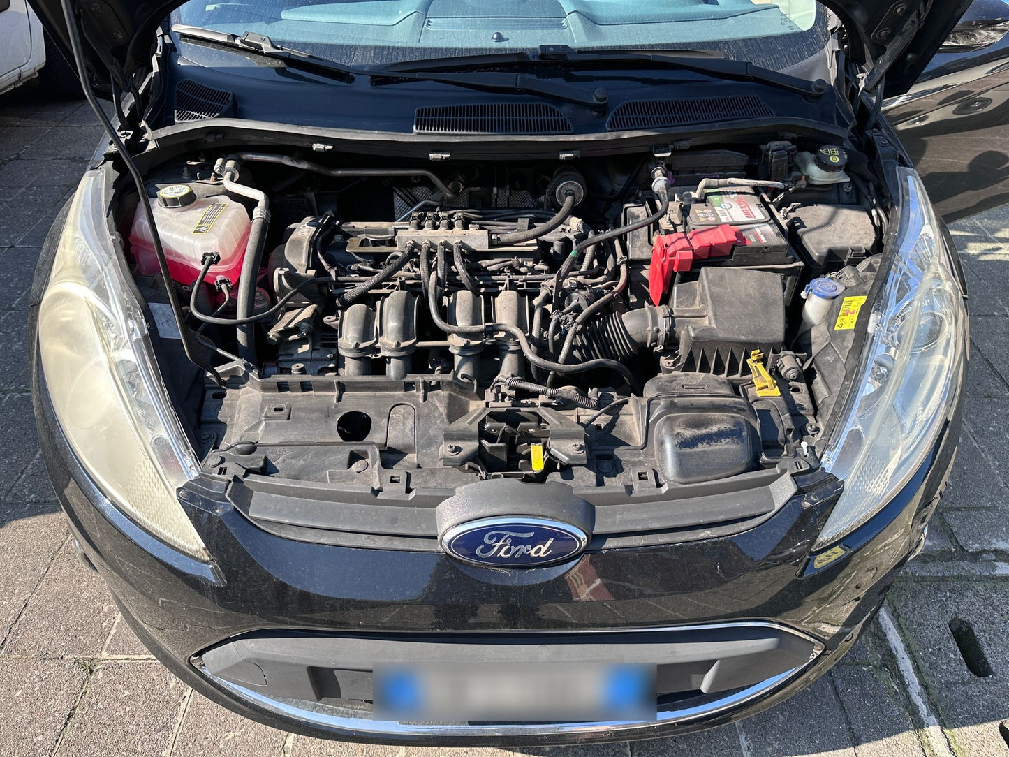 FORD - FIESTA (2010 - km 201.000 - GPL)