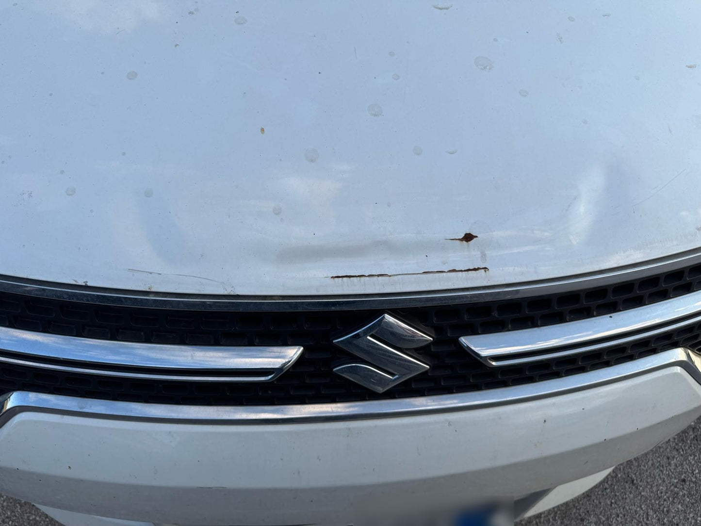 SUZUKI - IGNIS (2019 - km 145.000 - Benzina)