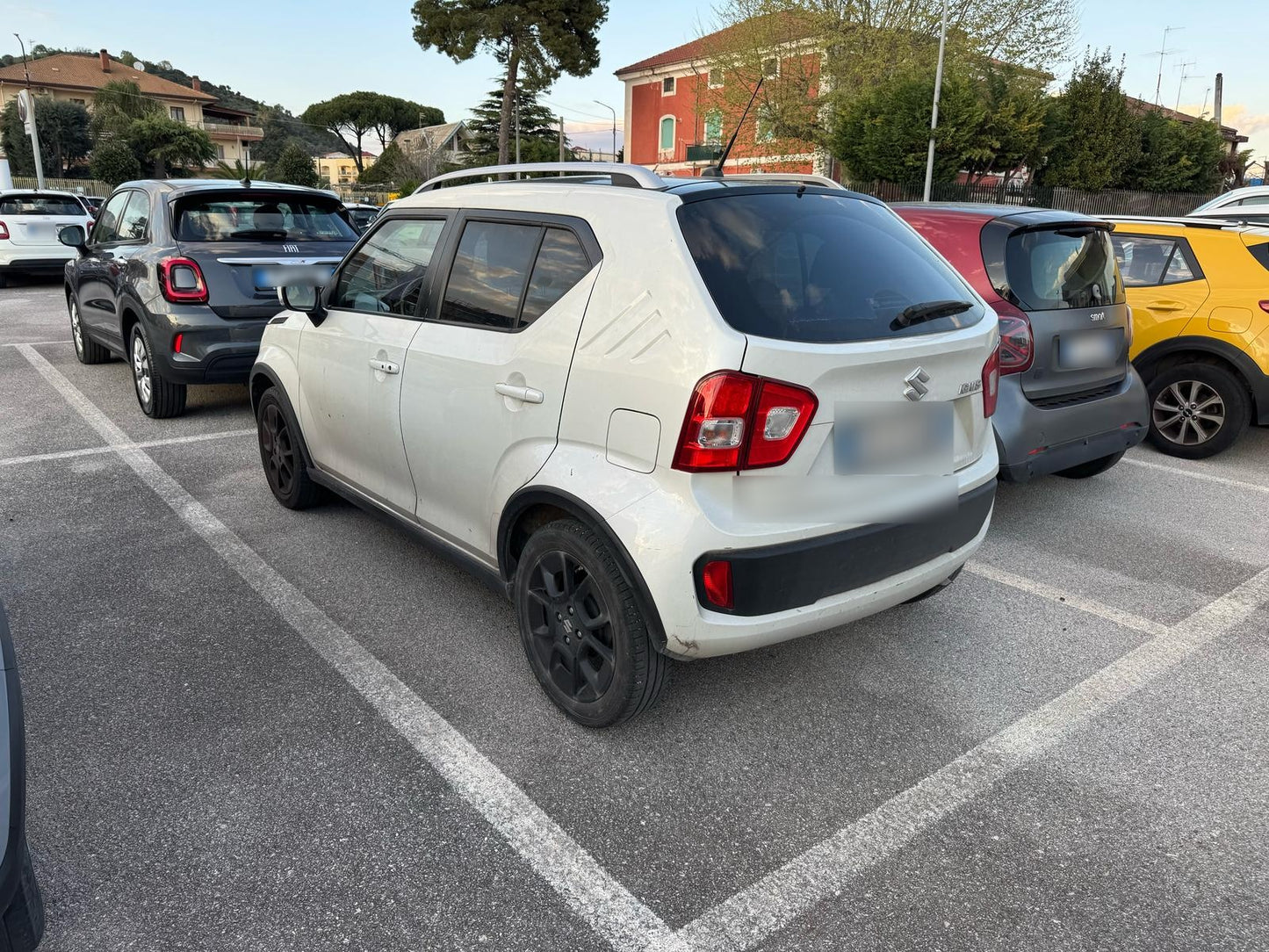 SUZUKI - IGNIS (2019 - km 145.000 - Benzina)