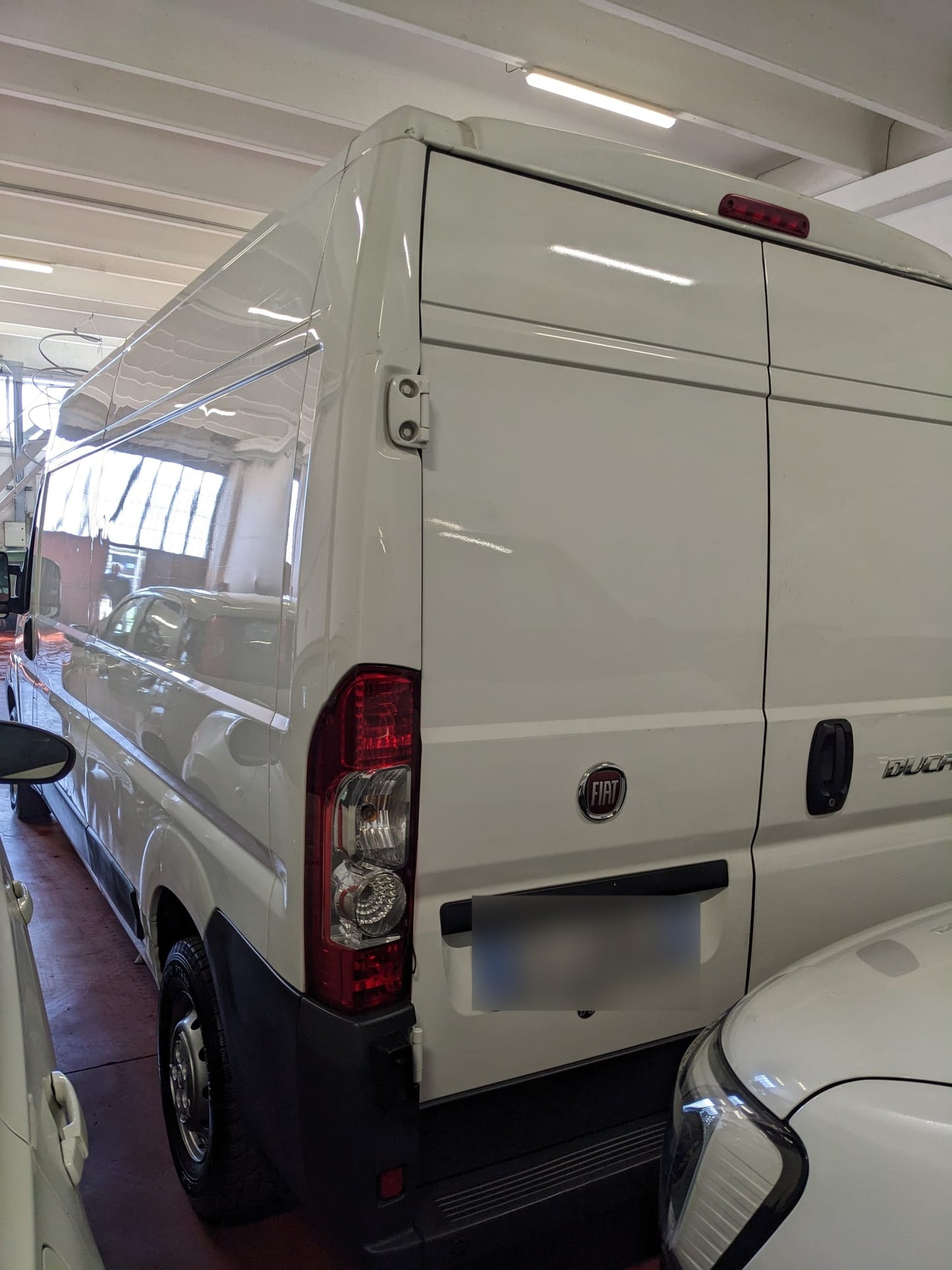 FIAT - DUCATO (2013 - km 142.000 - Diesel)