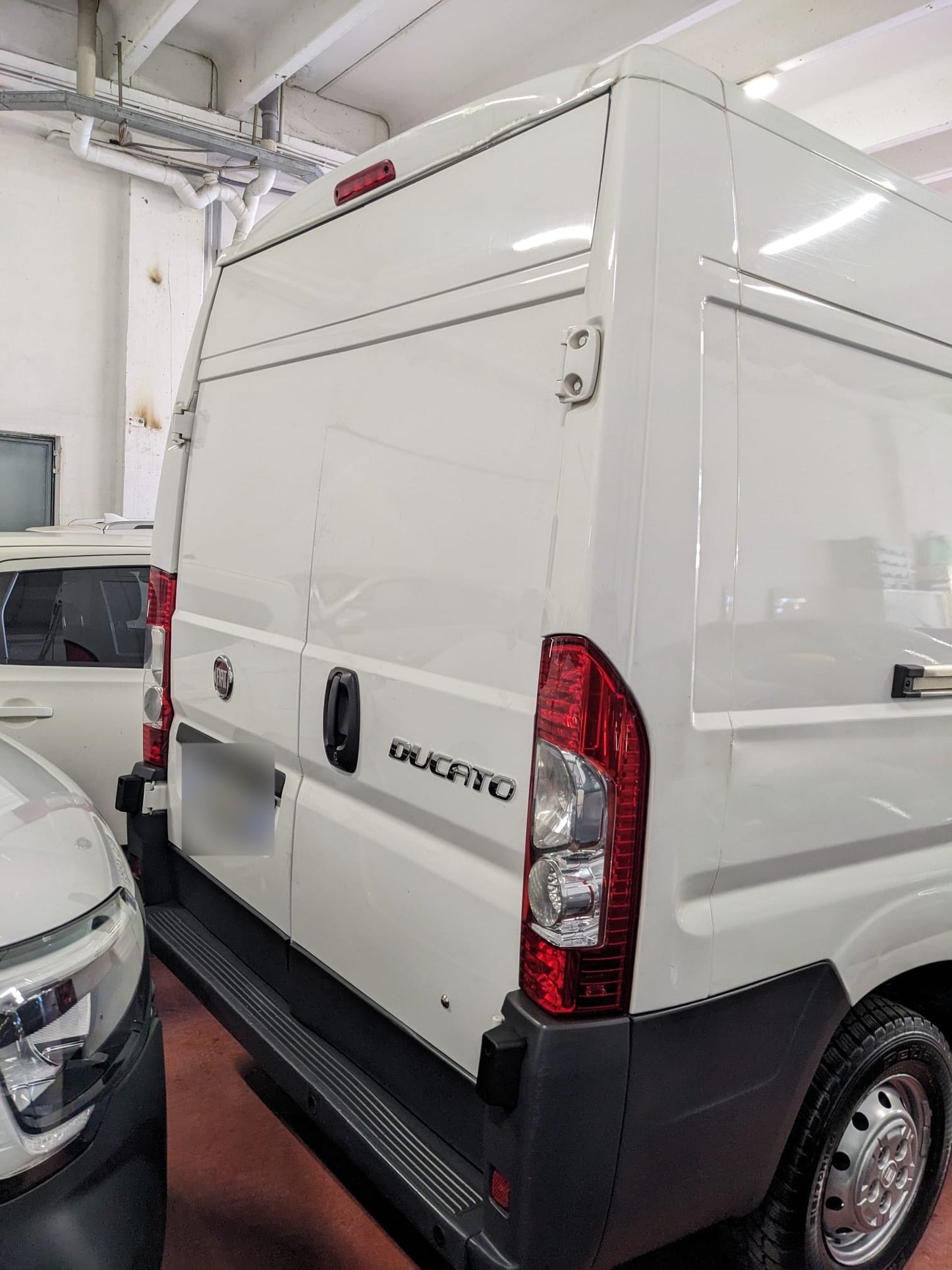 FIAT - DUCATO (2013 - km 142.000 - Diesel)