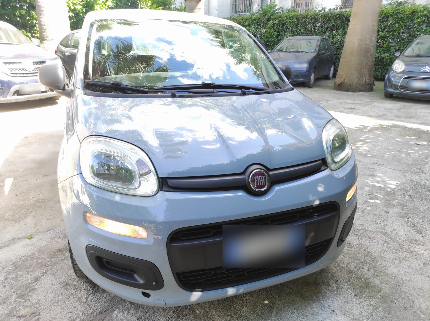 FIAT - PANDA (2017 - km 112.000 - Gpl)
