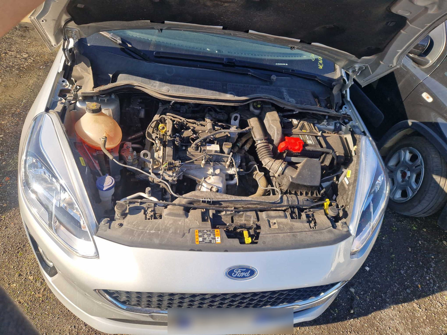 FORD - FIESTA (2020- km 48.444 - Benzina)