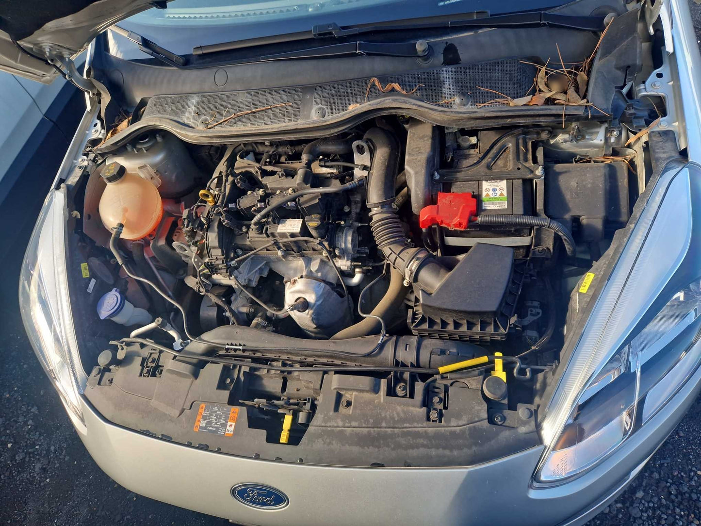 FORD - FIESTA (2020- km 56.757 - Benzina)