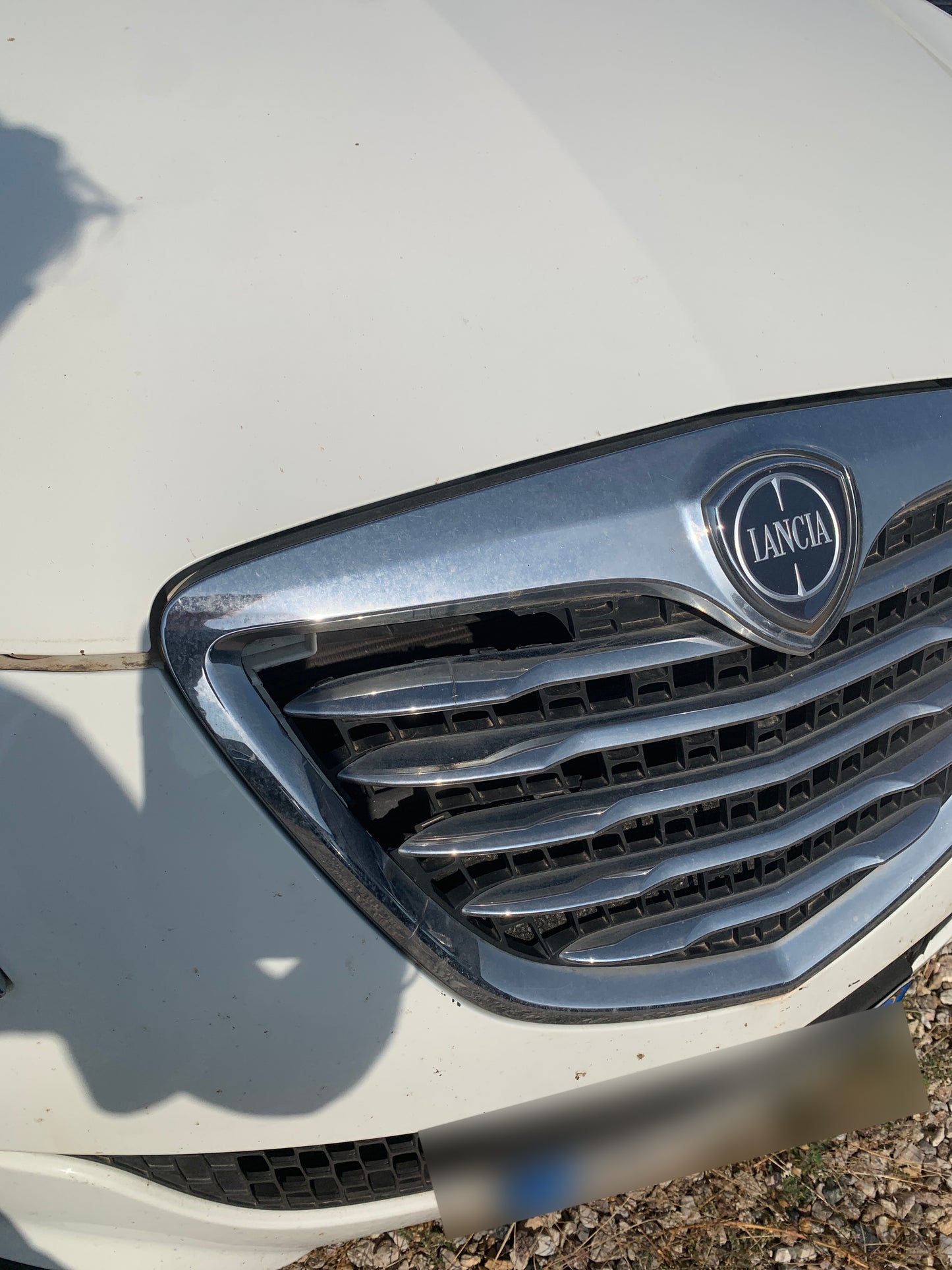 LANCIA - DELTA (2013 - km 129.299 - GPL)