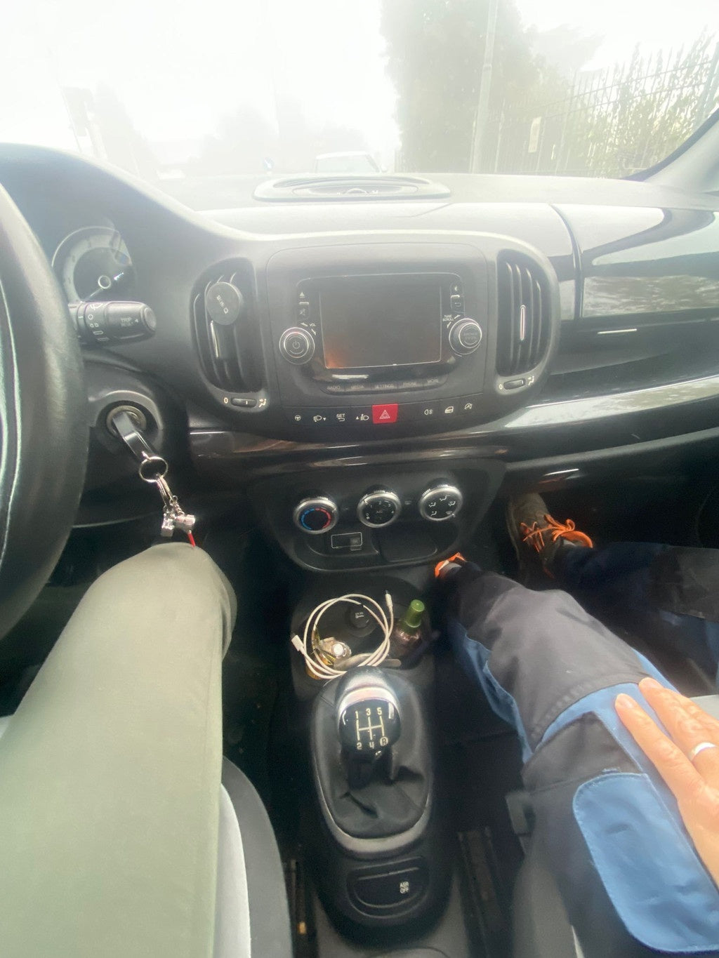 FIAT - 500L (2015 - km 125.381 - Diesel)