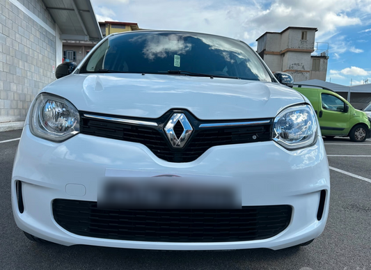 RENAULT - TWINGO (2019 - km 110.000 - Benzina)
