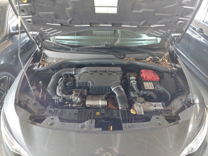 FIAT - TIPO (2022 - km 37.315 - Ibrida)