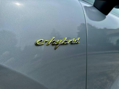 PORSCHE - CAYENNE (2021 - km 46.000 - Ibrida)